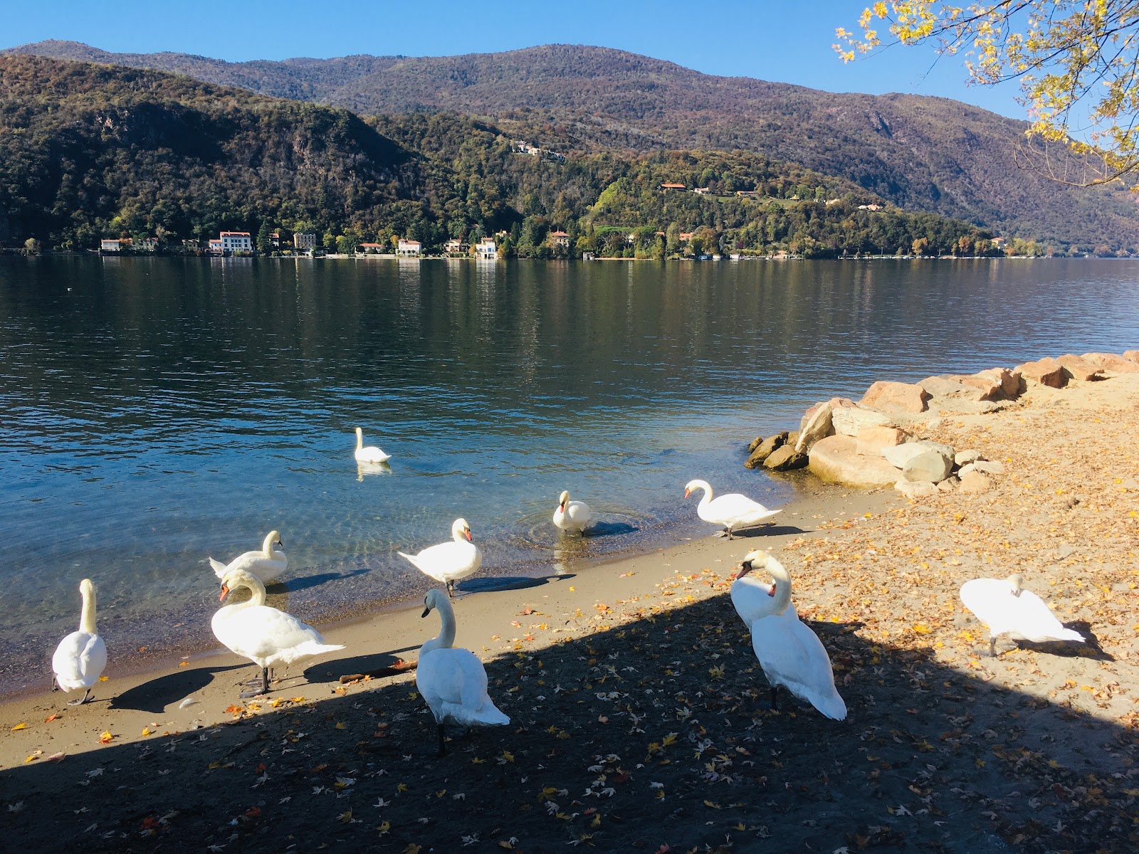 Spiaggia Porto Ceresio'in fotoğrafı turkuaz saf su yüzey ile