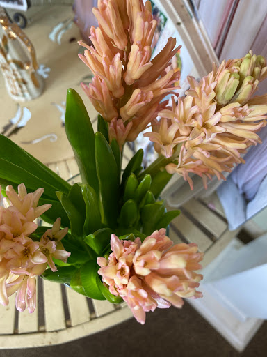 Florist «Flowerthyme», reviews and photos, 135 Main St, South Kingstown, RI 02879, USA