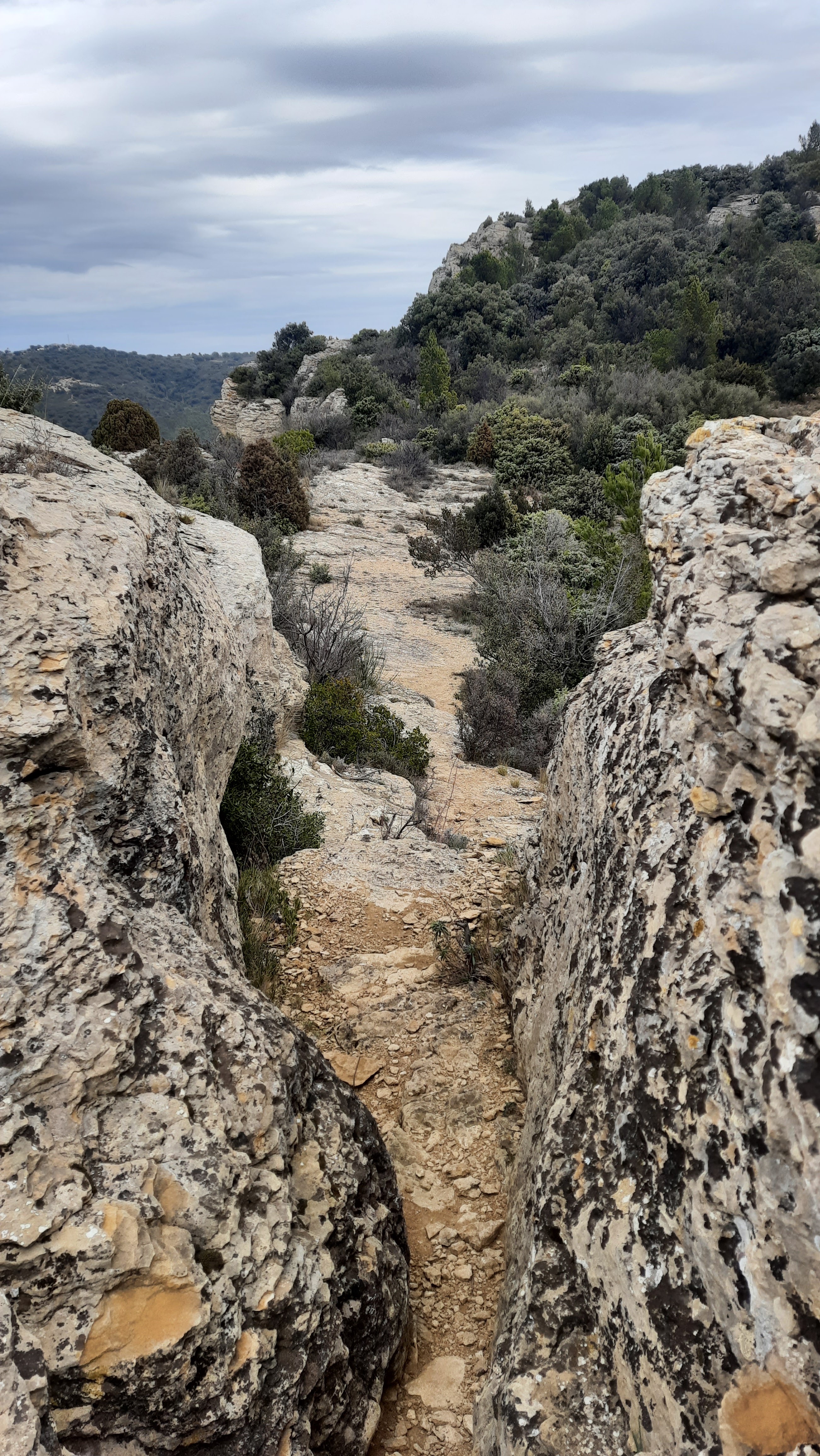 Photo n° 5 de l'avis de SigreY.. fait le 13/02/2022 à 18:03