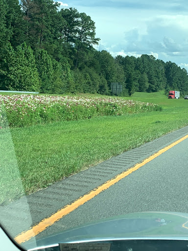 Photo of Chaneys Septic Tank & Wrecker