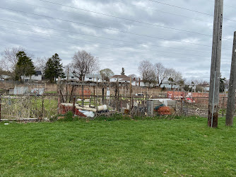 Daventry Garden Plots