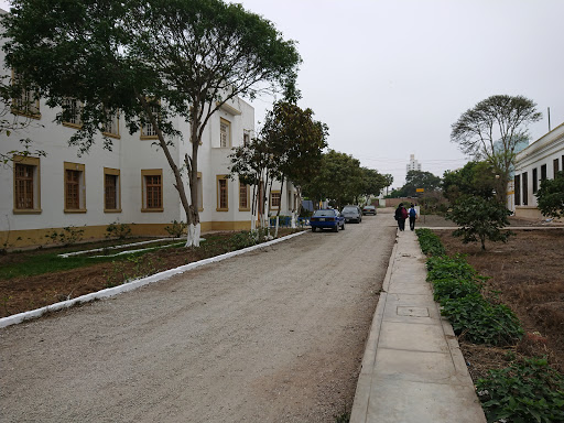 Centros psiquiatria Lima