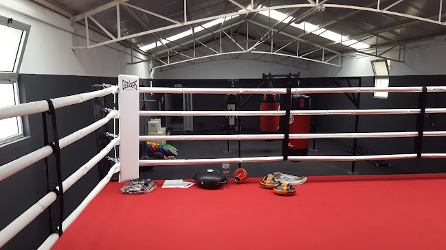 Avaliações doGentleman Boxing Club em Matosinhos - Academia
