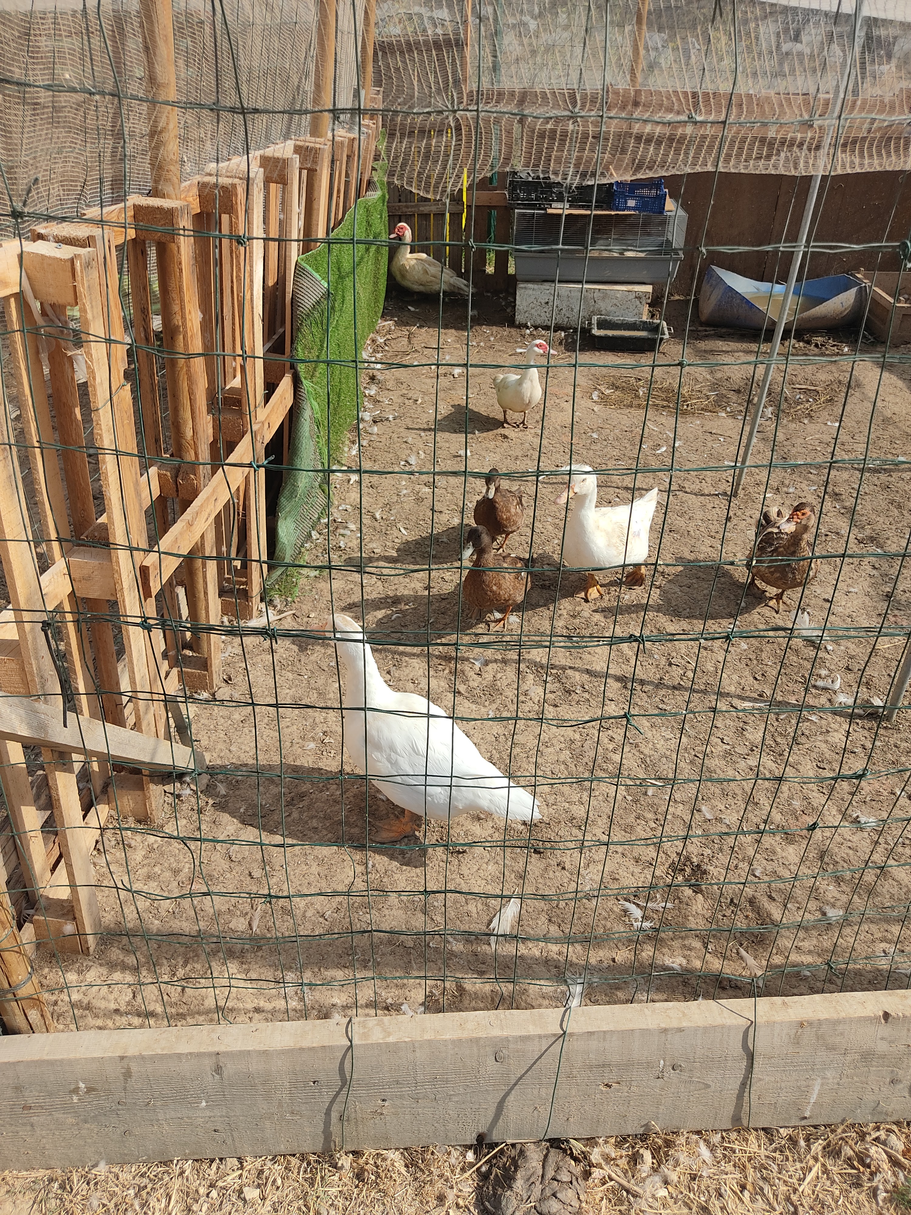 Photo n° 4 de l'avis de S..a fait le 04/08/2022 à 19:54