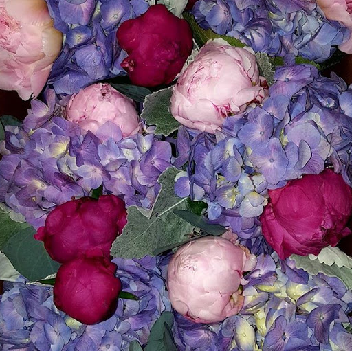 Florist «Sunnywoods Florist», reviews and photos, 251 Main Street, Chatham, NJ 07928, USA