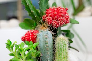 Plant the Future - photo 14