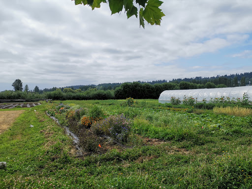 Tourist Attraction «Tonnemaker Valley Farm & Woodinville Farm Stand», reviews and photos, 16215 140th Pl NE, Woodinville, WA 98072, USA