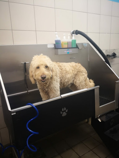 Pet Supply Store «Pet Supplies Plus», reviews and photos, 494 Westgate Dr, Brockton, MA 02301, USA