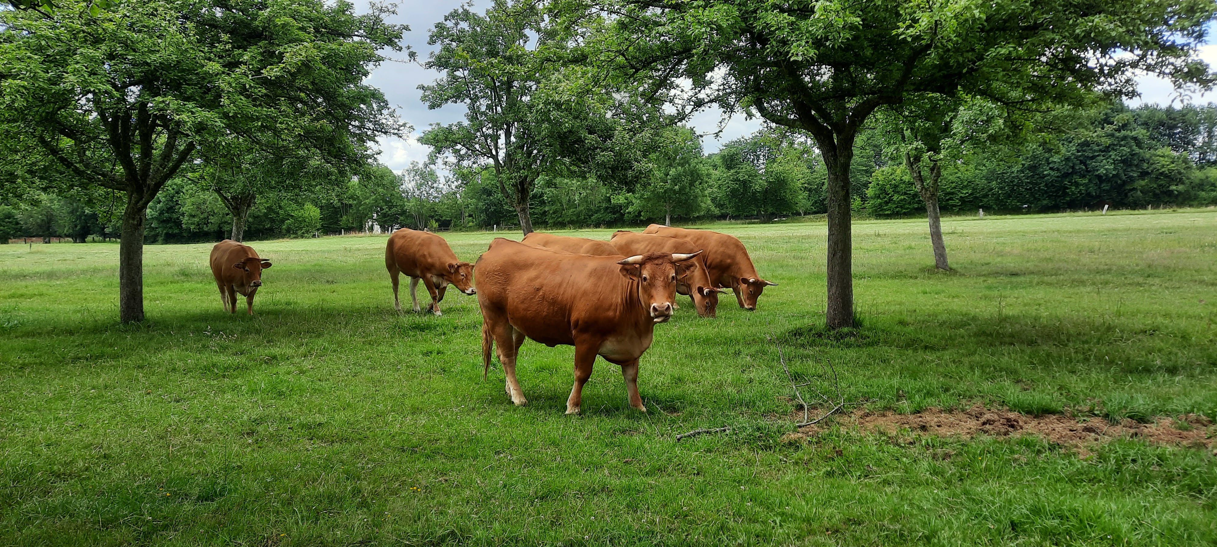 Photo n° 2 de l'avis de Margreet.o fait le 12/07/2022 à 07:02