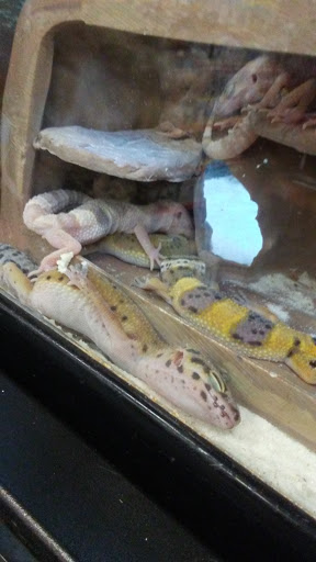 Pet Supply Store «Petco Animal Supplies», reviews and photos, 1500 N Town E Blvd, Mesquite, TX 75150, USA