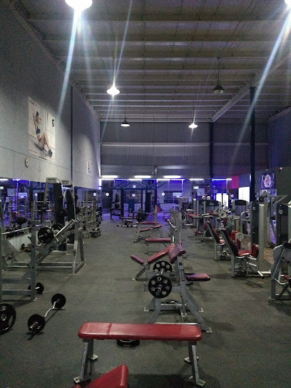 AMERICAN FITNESS CUAUTITLAN