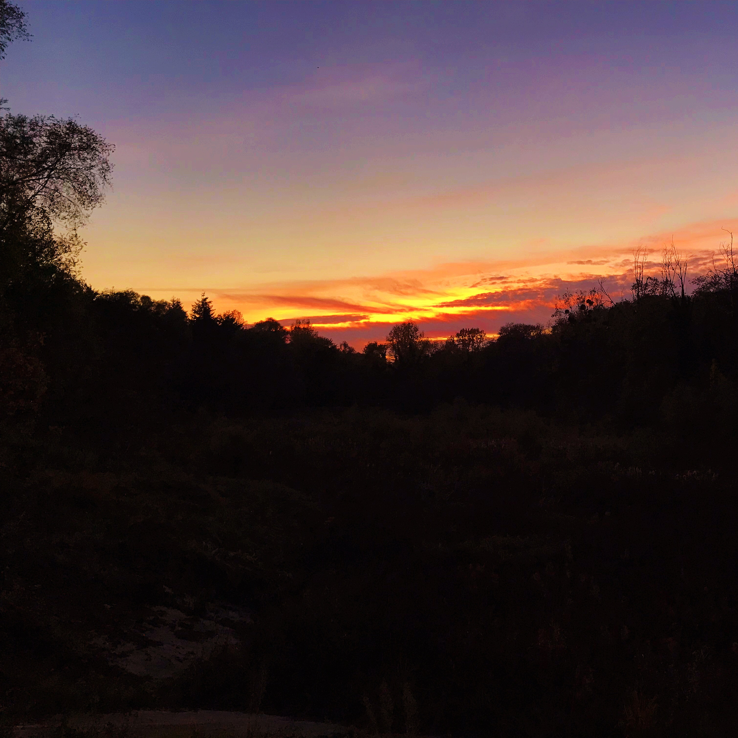 Photo n° 1 de l'avis de Thibaud.I fait le 06/11/2018 à 14:43