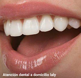 odontologia integral laly