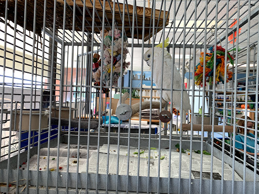 Pet Store «Wet Pets N Critters», reviews and photos, 103 TX-281 Loop, Longview, TX 75605, USA