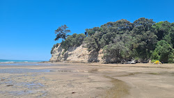 Photo de Browns Bay Beach - endroit populaire parmi les connaisseurs de la détente