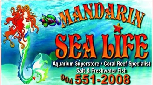 Pet Store «Mandarin SeaLife», reviews and photos, 9633 Old St Augustine Rd #2, Jacksonville, FL 32257, USA