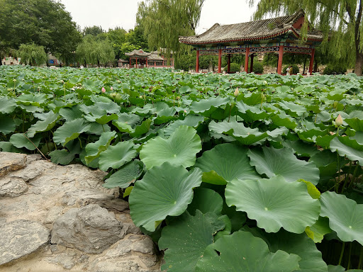 滴灌 北京