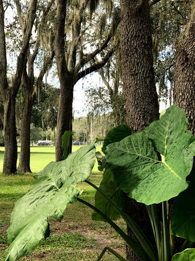 Golf Course «The Claw at USF», reviews and photos, 13801 N 46th St, Tampa, FL 33613, USA