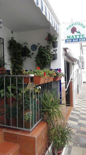 Floristeria Mayte en Zafarraya, Granada