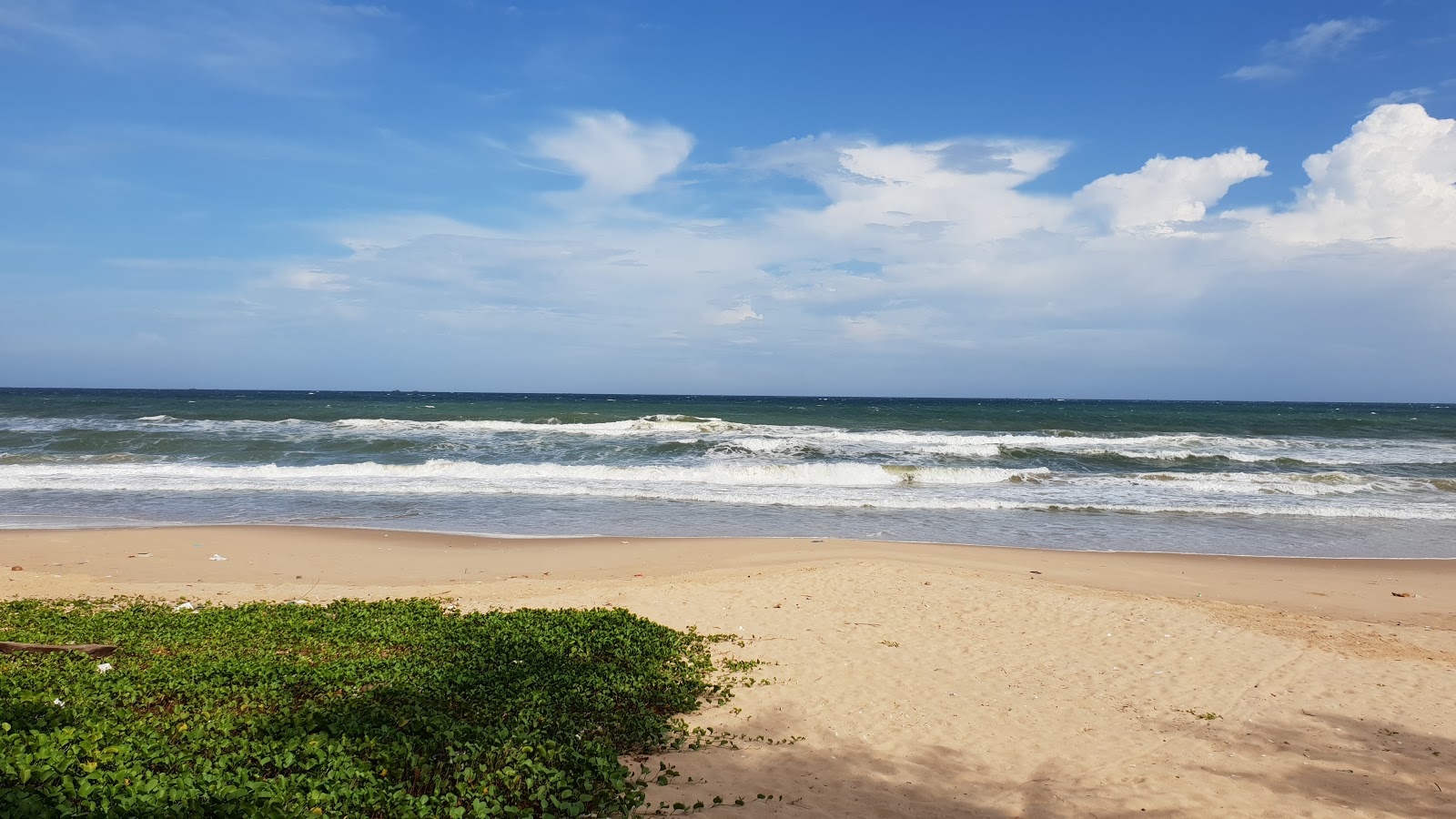 Fotografija Tien Thanh pho Phan Beach z dolga ravna obala