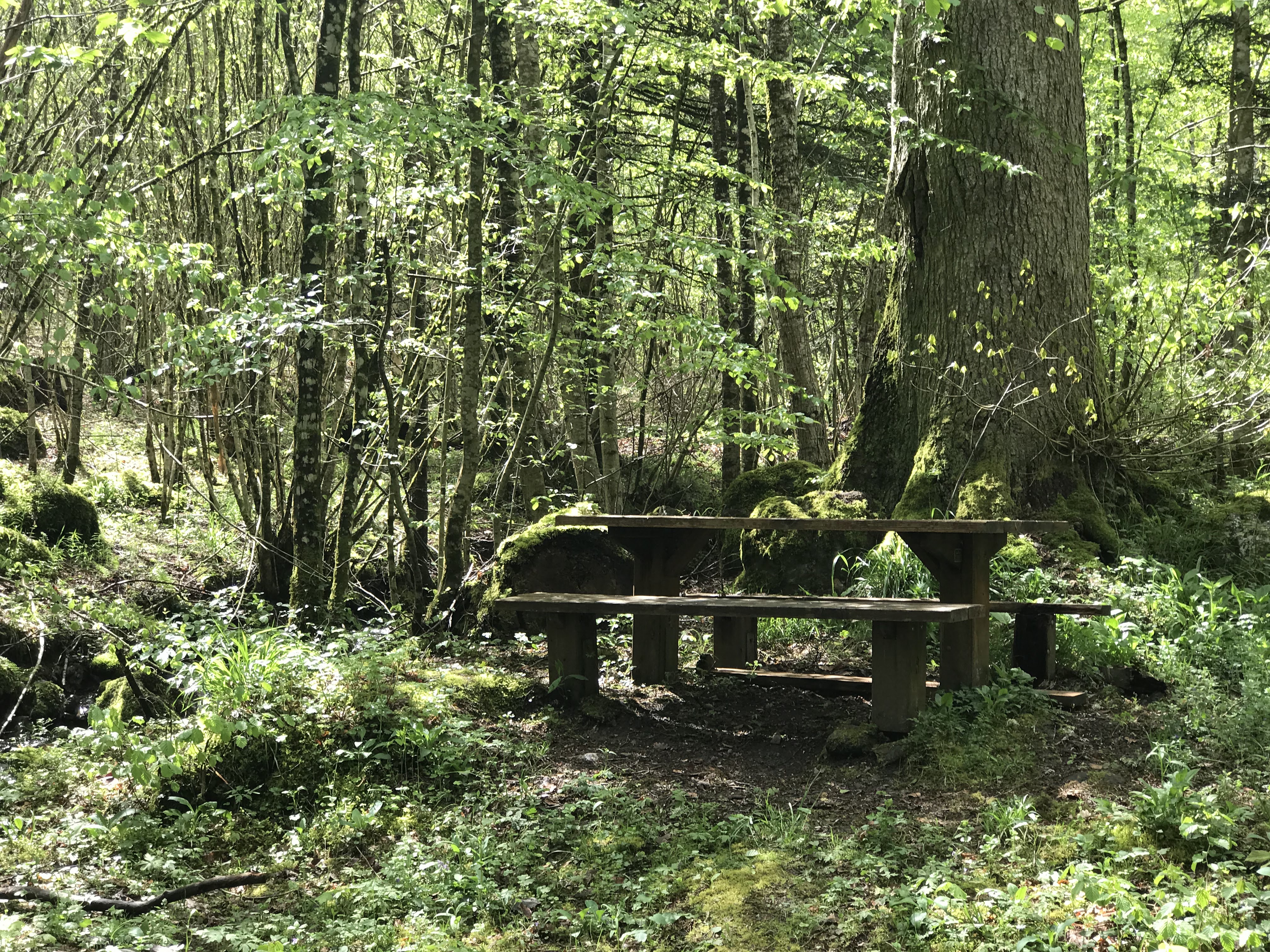 Photo n° 2 de l'avis de Ulf.. fait le 17/05/2019 à 20:57