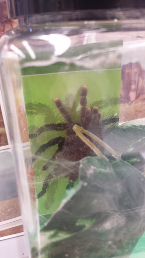 Pet Supply Store «Petco Animal Supplies», reviews and photos, 22511 TX-249, Houston, TX 77070, USA