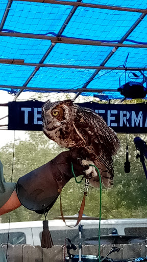 Live Music Venue «Terra Fermata», reviews and photos, 26 SE 6th St, Stuart, FL 34994, USA