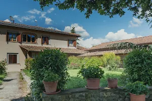 Le Lavande | Casa Vacanza Toscana Ecosostenibile image