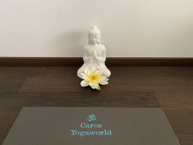 Rezensionen über caros-yogaworld in Bülach - Yoga-Studio