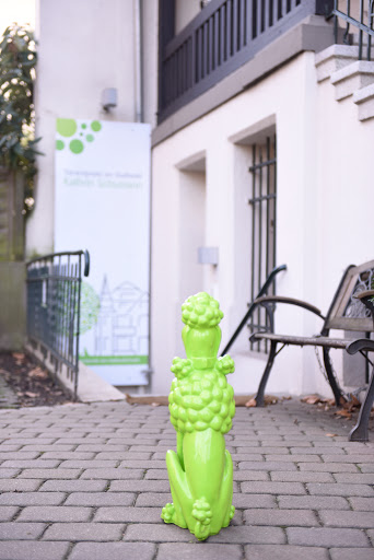 Tierarztpraxis am Stadtwald unter Cologne, 