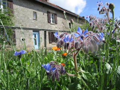 Le gîte et la main verte à Saint-Goussaud