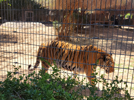 Zoo «Wildlife World Zoo, Aquarium & Safari Park», reviews and photos, 16501 W Northern Ave, Litchfield Park, AZ 85340, USA
