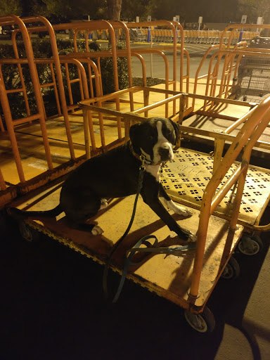 Home Improvement Store «The Home Depot», reviews and photos, 984 Wall Ave, Ogden, UT 84404, USA