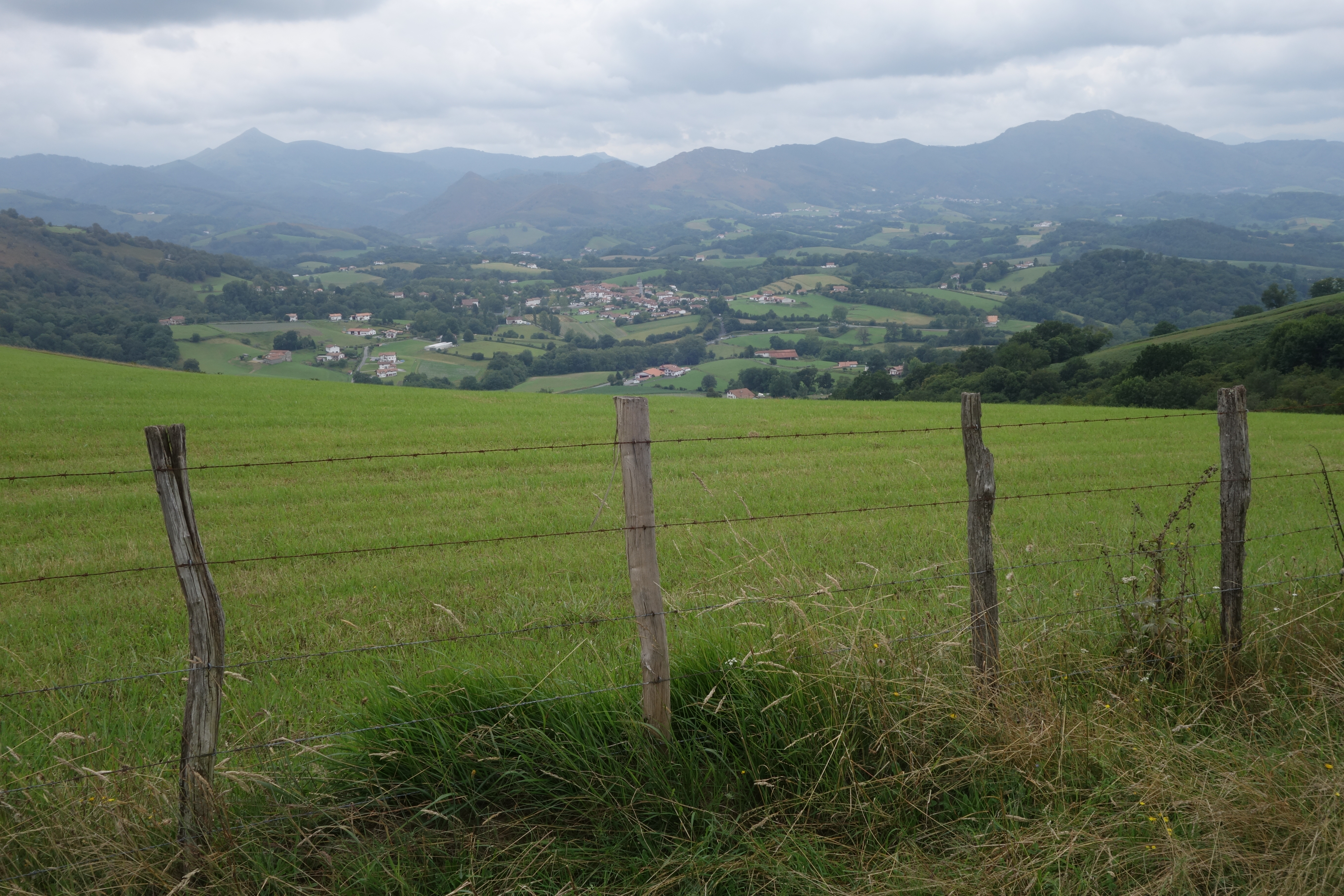 Photo n° 2 de l'avis de SD.r fait le 29/06/2023 à 19:34