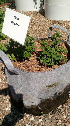 Non-Profit Organization «Harvesters - The Community Food Network», reviews and photos