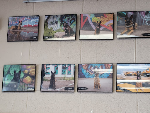 Pet Supply Store «Pet Pantry & Dog Wash», reviews and photos, 5148 Academy Blvd N, Colorado Springs, CO 80918, USA