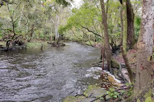 Blackwater Creek Nature Preserve image