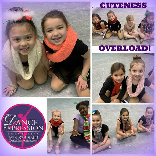 Dance School «Dance Expression Dance Arts», reviews and photos, 3339 NJ-94, Hamburg, NJ 07419, USA
