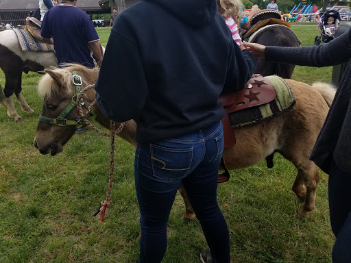 National Park «Fort Hunt Park», reviews and photos, 8999 Fort Hunt Rd, Alexandria, VA 22308, USA