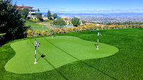 Always Green Synthetic Grass - Photo 6 - Car repair in Garden Grove, CA, Long Beach
