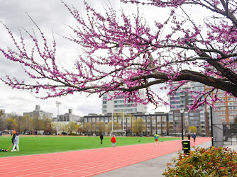 McCarren Park Track