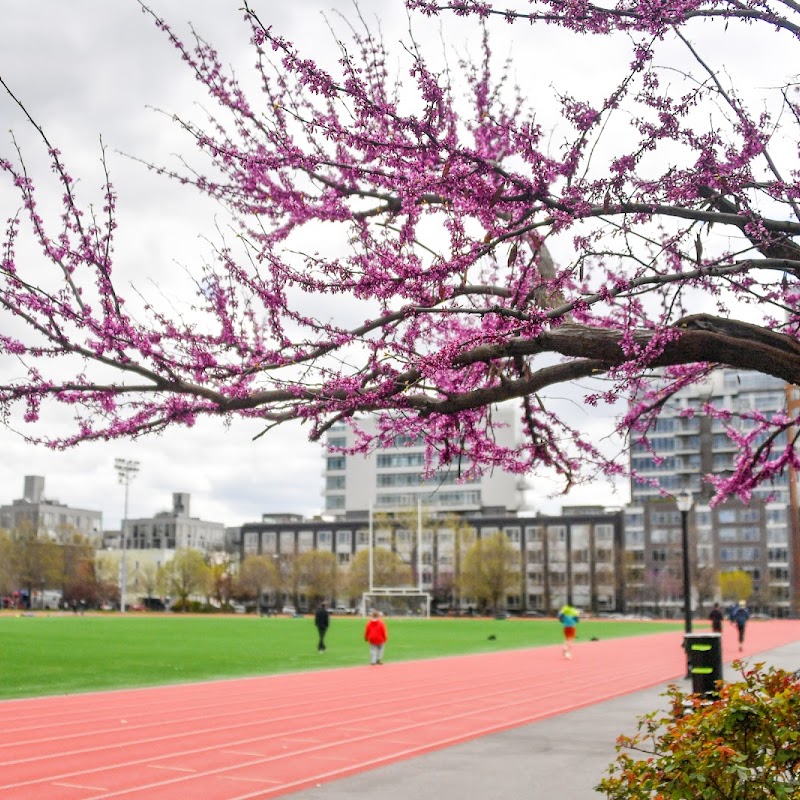 McCarren Park Track