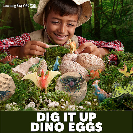 Toy Store «Learning Express Toys of Pinecrest», reviews and photos, 9529 S Dixie Hwy, Pinecrest, FL 33156, USA