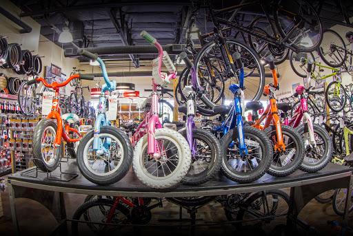 Bicycle Store «Global Bikes - Chandler North», reviews and photos, 2915 W Ray Rd, Chandler, AZ 85224, USA