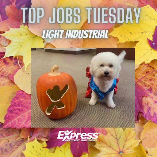 Employment Agency «Express Employment Professionals - Laguna Hills», reviews and photos, 23181 Verdugo Dr #104b, Laguna Hills, CA 92653, USA