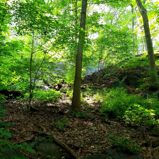 Park «Inwood Hill Park», reviews and photos, Dyckman St, New York, NY 10452, USA