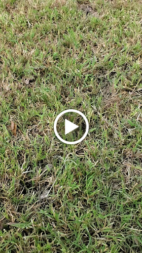 Park «Espee Park», reviews and photos, 450 E Knox Rd, Chandler, AZ 85225, USA