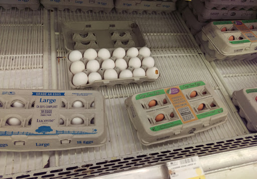 Grocery Store «Safeway», reviews and photos, 14922 Olympic Dr, Clearlake, CA 95422, USA