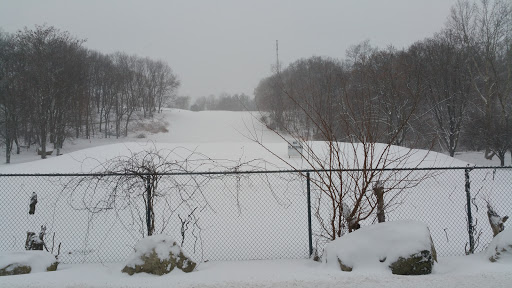 Golf Course «Phillip J. Rotella Memorial Golf Course», reviews and photos, 100 Thiells Mt Ivy Rd, Thiells, NY 10984, USA