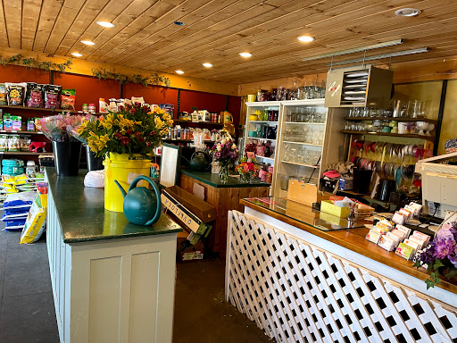 Florist «Petals & Paws», reviews and photos, 465 Albany Turnpike, Canton, CT 06019, USA